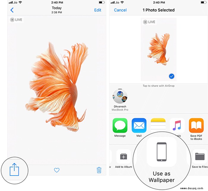 So erhalten Sie Live-Fisch-Hintergründe in iOS 11 auf dem iPhone zurück 