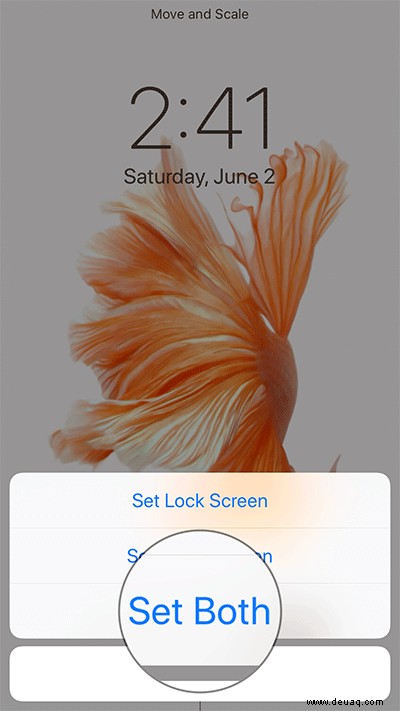 So erhalten Sie Live-Fisch-Hintergründe in iOS 11 auf dem iPhone zurück 