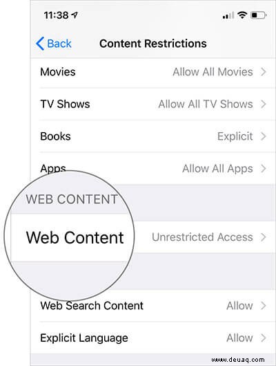 So beschränken Sie Inhalte für Erwachsene in Safari auf dem iPhone/iPad 