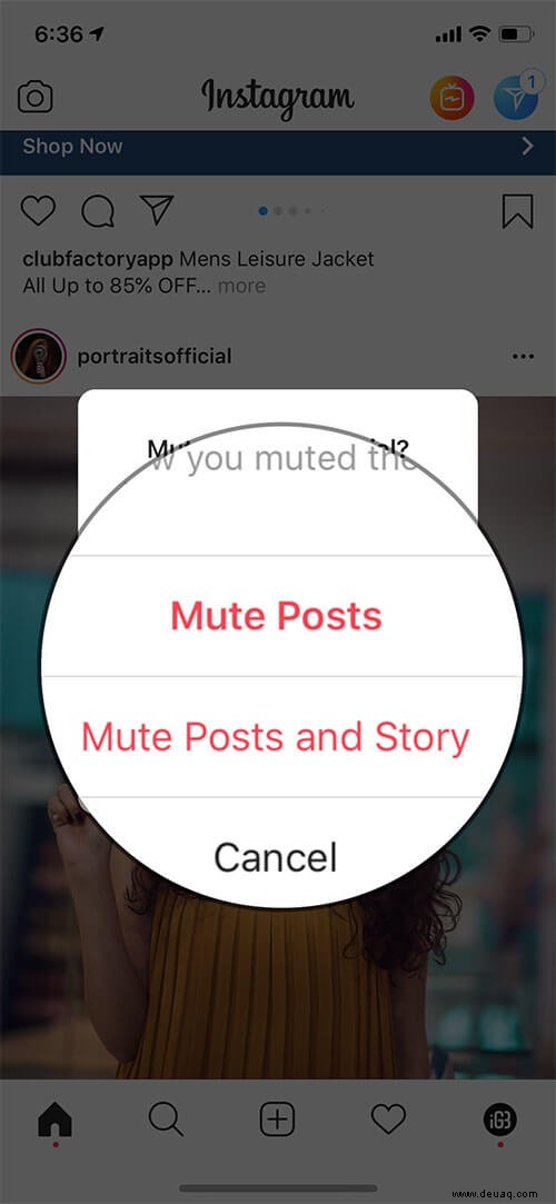 So verstecken Sie Instagram-Posts oder -Geschichten auf dem iPhone, ohne Konten zu entfolgen 