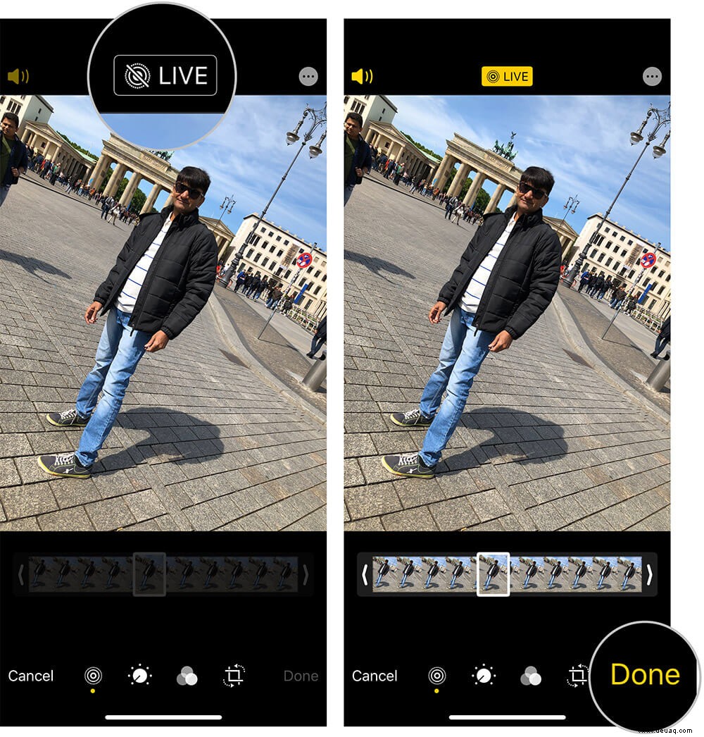 So ändern Sie Live-Fotos in normale Fotos auf dem iPhone oder iPad 