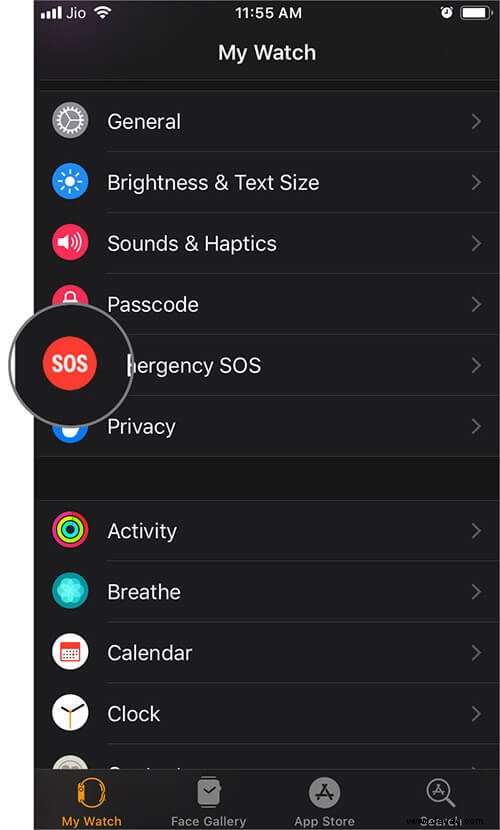 So verwenden Sie Notfall-SOS auf der Apple Watch 