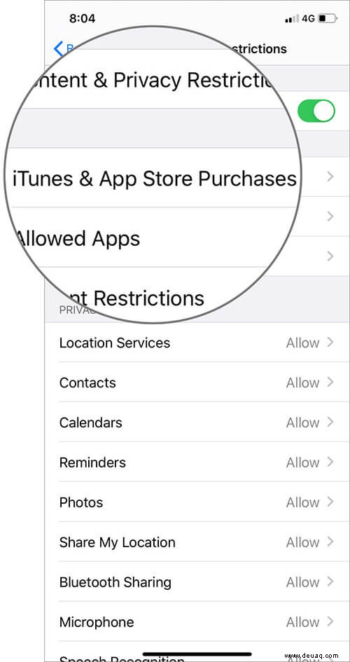 So deaktivieren Sie In-App-Käufe/App-Installationen auf iPhone und iPad 