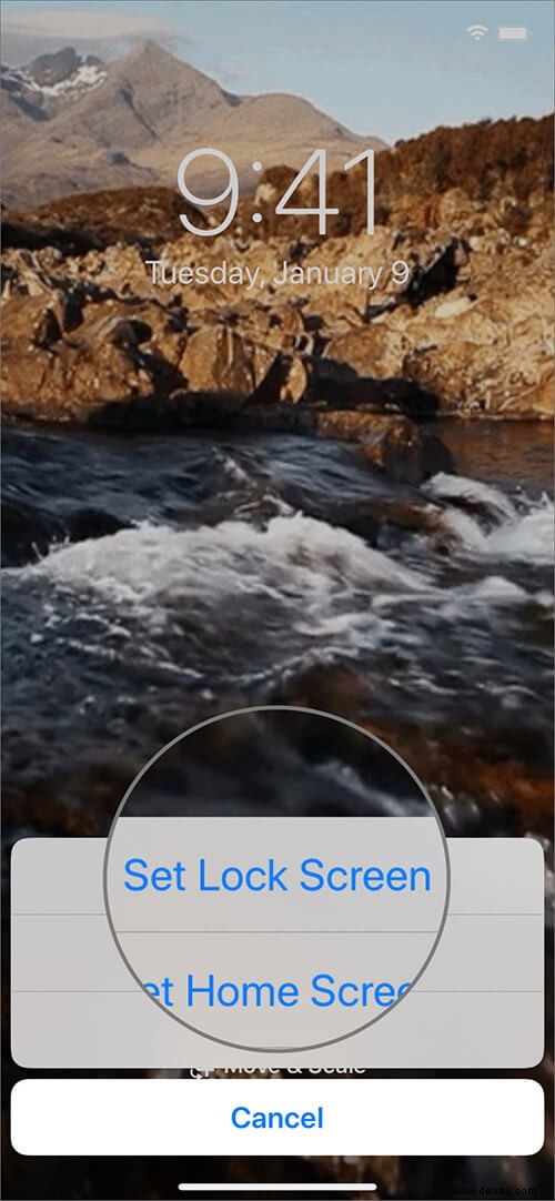 So legen Sie ein GIF als Live-Hintergrund auf Ihrem iPhone fest 