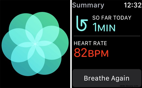 So messen Sie die Herzfrequenzvariabilität (HRV) auf Ihrer Apple Watch 