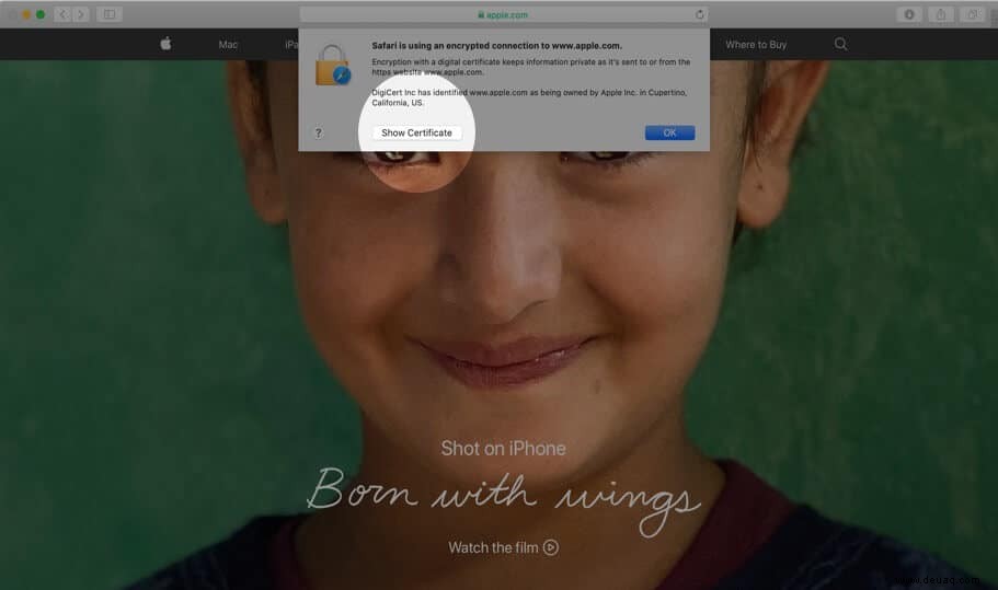 So überprüfen Sie digitale Zertifikate auf Computer und iPhone 