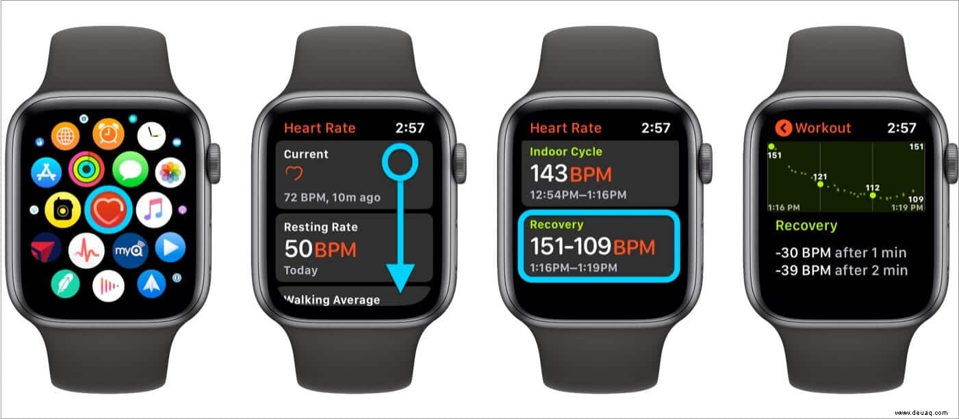 So lesen Sie die Erholung der Herzfrequenz auf der Apple Watch und dem iPhone 