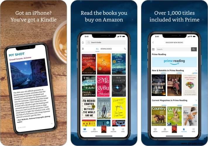 So lesen Sie Bücher kostenlos auf iPad und iPhone 