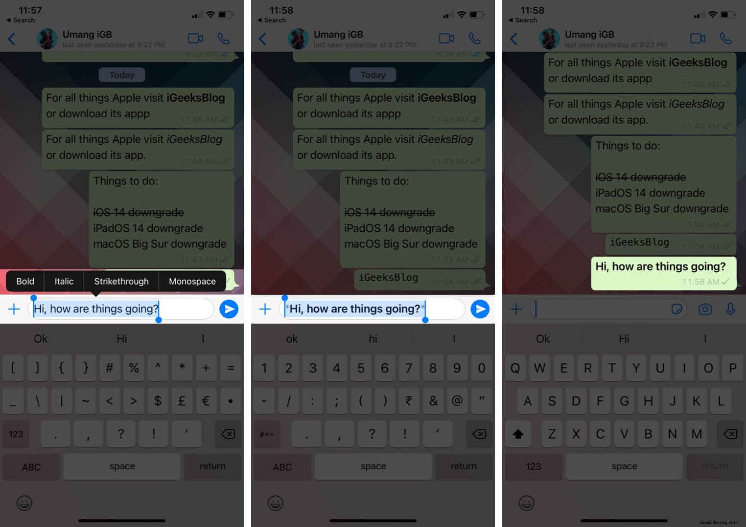 So schreiben Sie Fett, Kursiv, Durchgestrichen in WhatsApp auf dem iPhone 