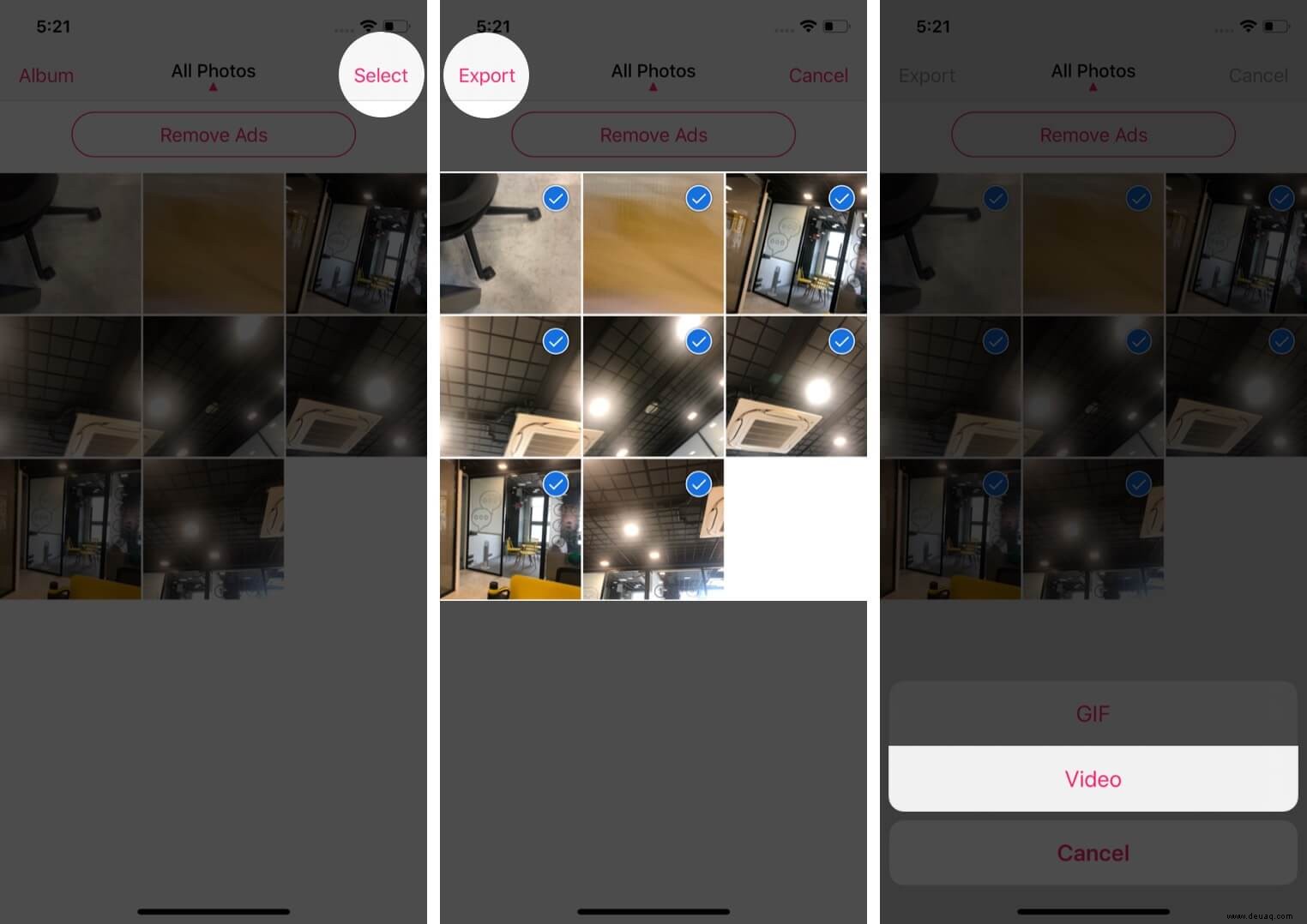 So verwandeln Sie Live-Fotos in Videos auf Ihrem iPhone 