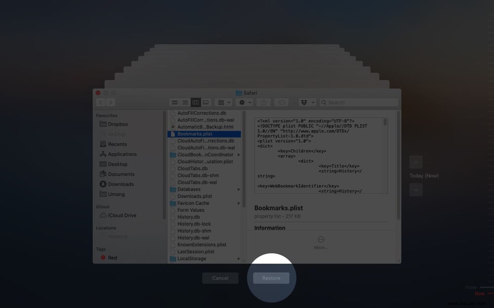 So stellen Sie gelöschte Safari-Lesezeichen auf dem Mac wieder her 