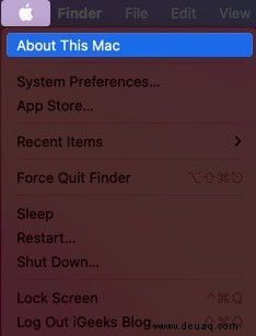 Was ist Anderer auf dem Mac-Speicher und wie lösche ich ihn? 
