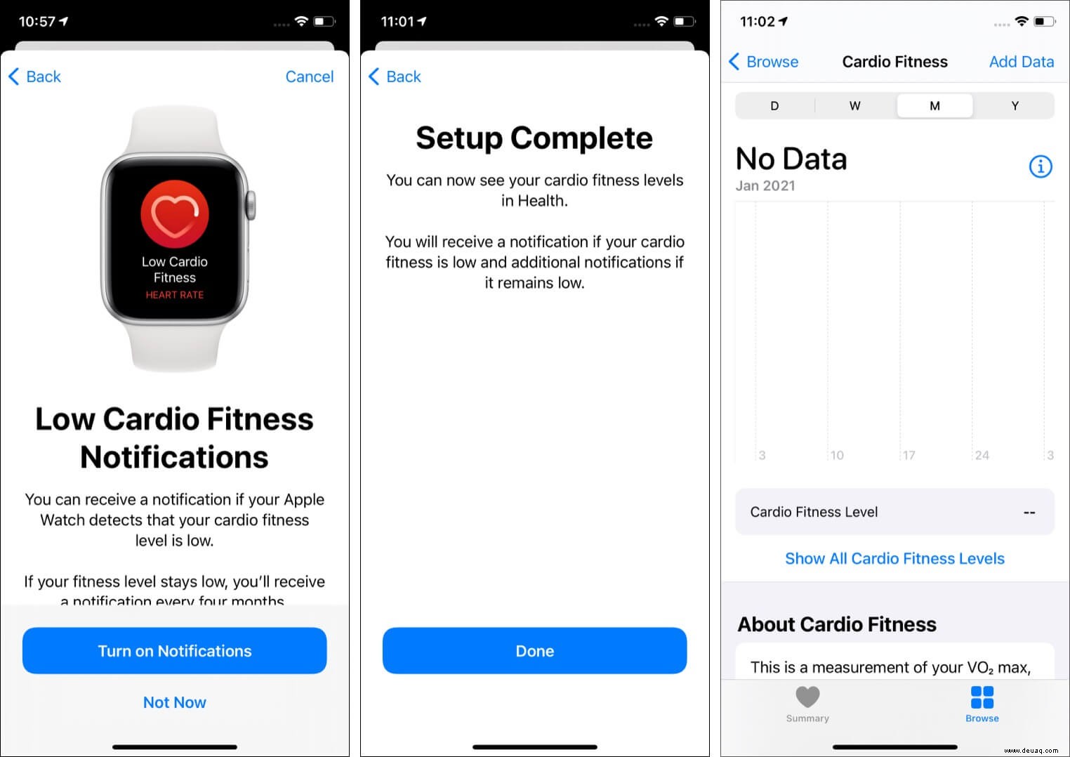 So verwenden Sie Cardio Fitness auf iPhone und Apple Watch (Fitness-Anleitung) 
