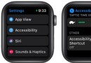 So verwenden Sie die Eingabehilfen-Verknüpfung auf der Apple Watch in watchOS 7 