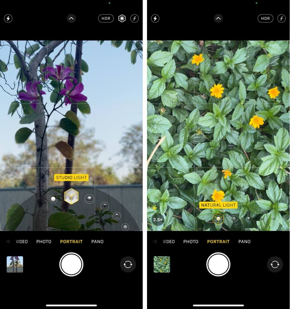 iPhone-Tipps zur Blumenfotografie:Fangen Sie das Beste mit iPhone 12 Pro-Modellen ein 