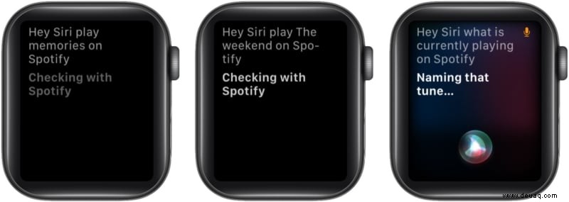 So verwenden Sie Spotify auf der Apple Watch zum Abspielen von Musik 