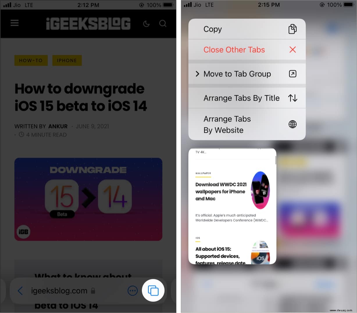 So schließen Sie alle Safari-Tabs gleichzeitig auf iPhone und iPad 