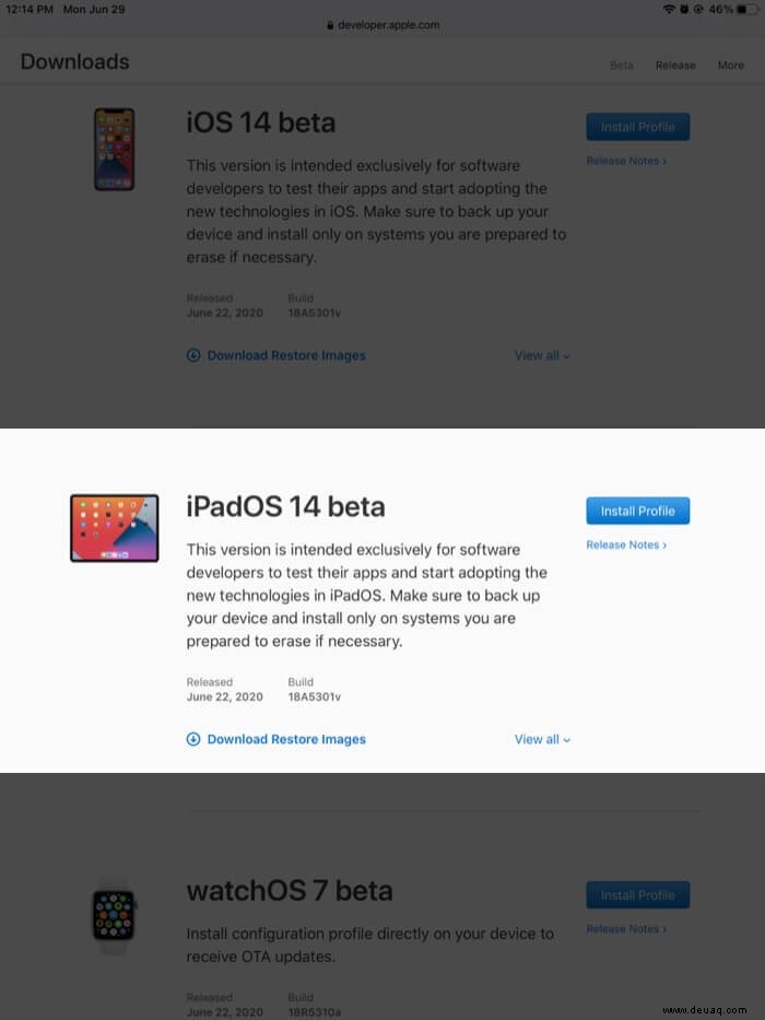 So laden Sie iPadOS 14.7 Developer Beta 5 herunter 