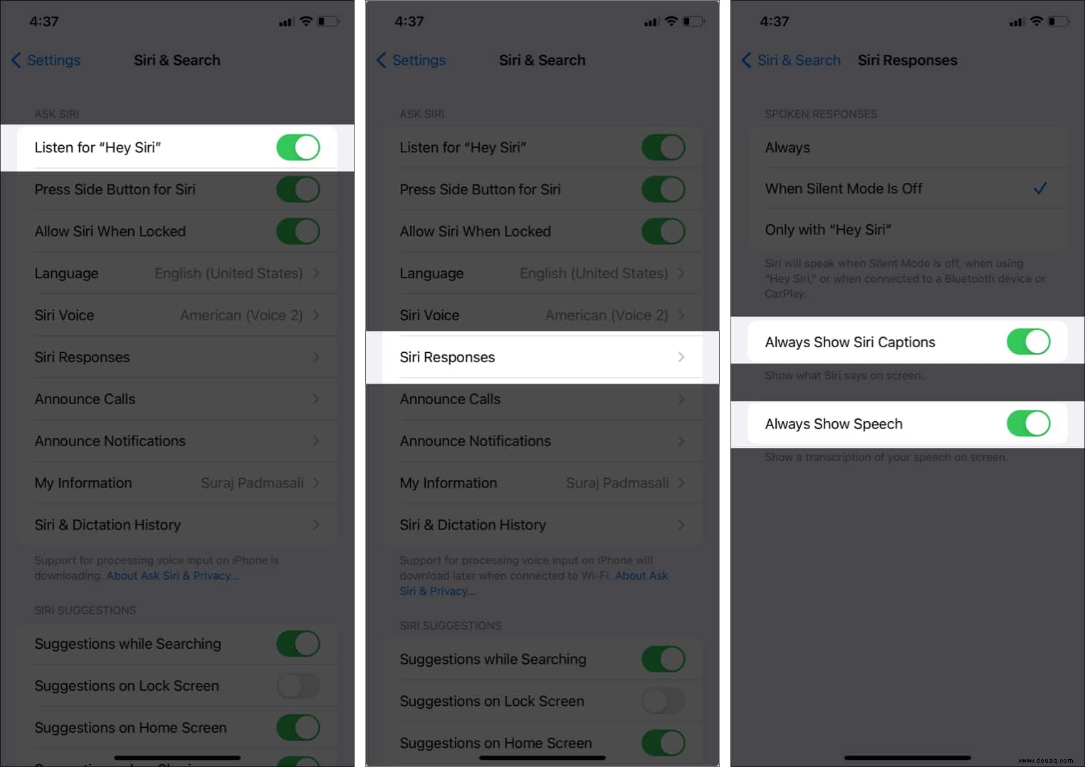 iOS 15:So verwenden Sie Siri offline auf iPhone und iPad (ohne Internet) 