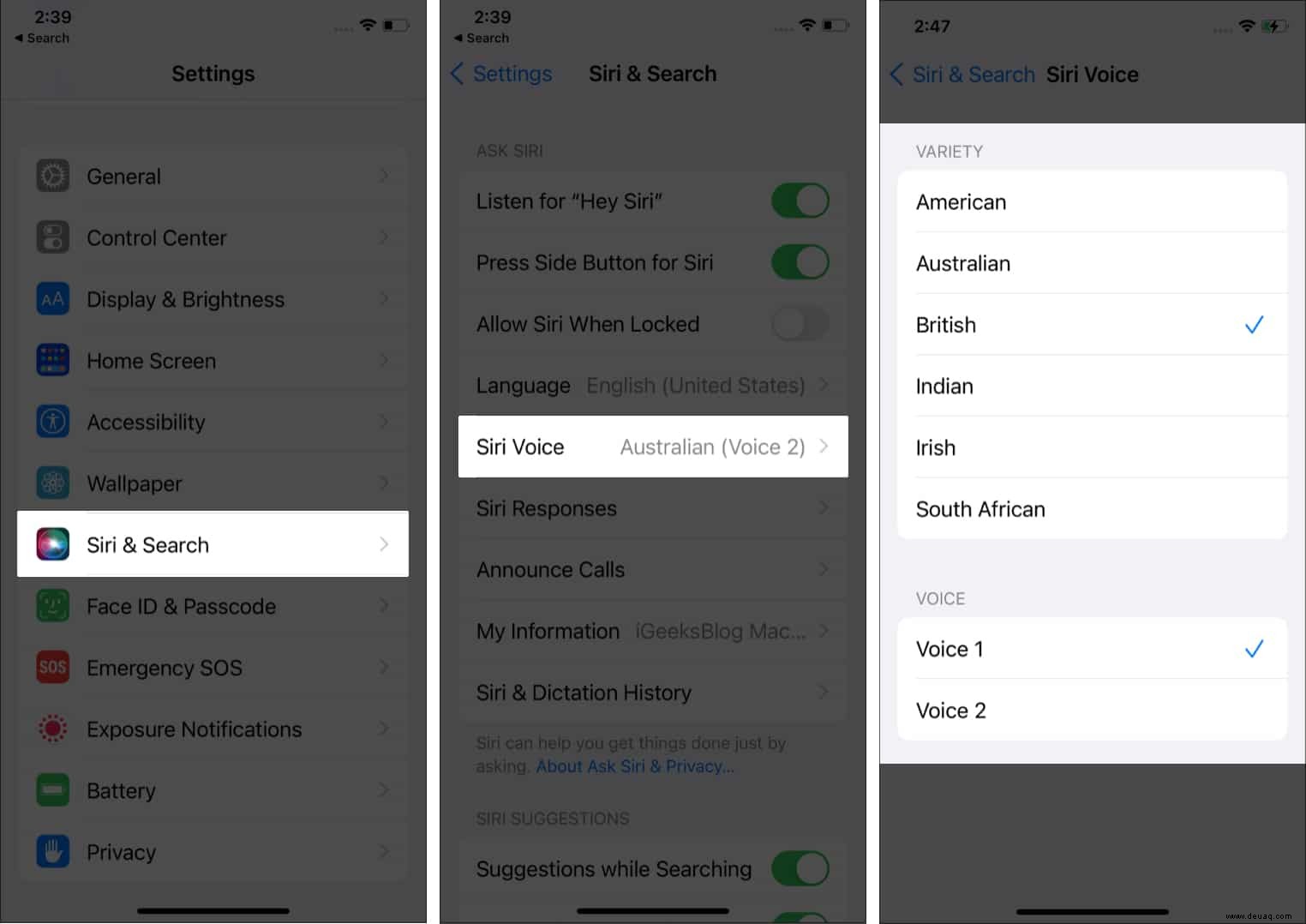 So ändern Sie die Stimme und Sprache von Siri auf iPhone und iPad 