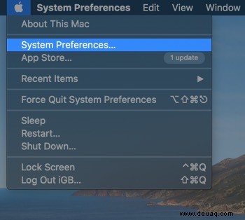 So verstecken oder zeigen Sie das Dock in macOS Monterey oder früher 