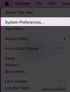 So stellen Sie einen Spotify-Sleep-Timer auf iPhone und Mac ein 