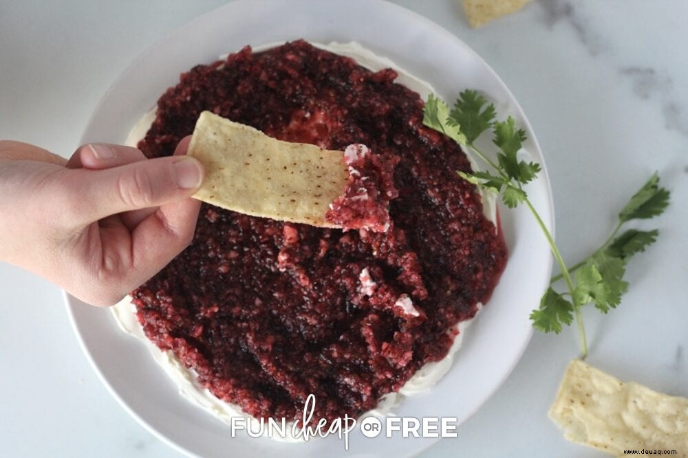 Cranberry-Frischkäse-Dip – Das BESTE Vorspeisenrezept! 