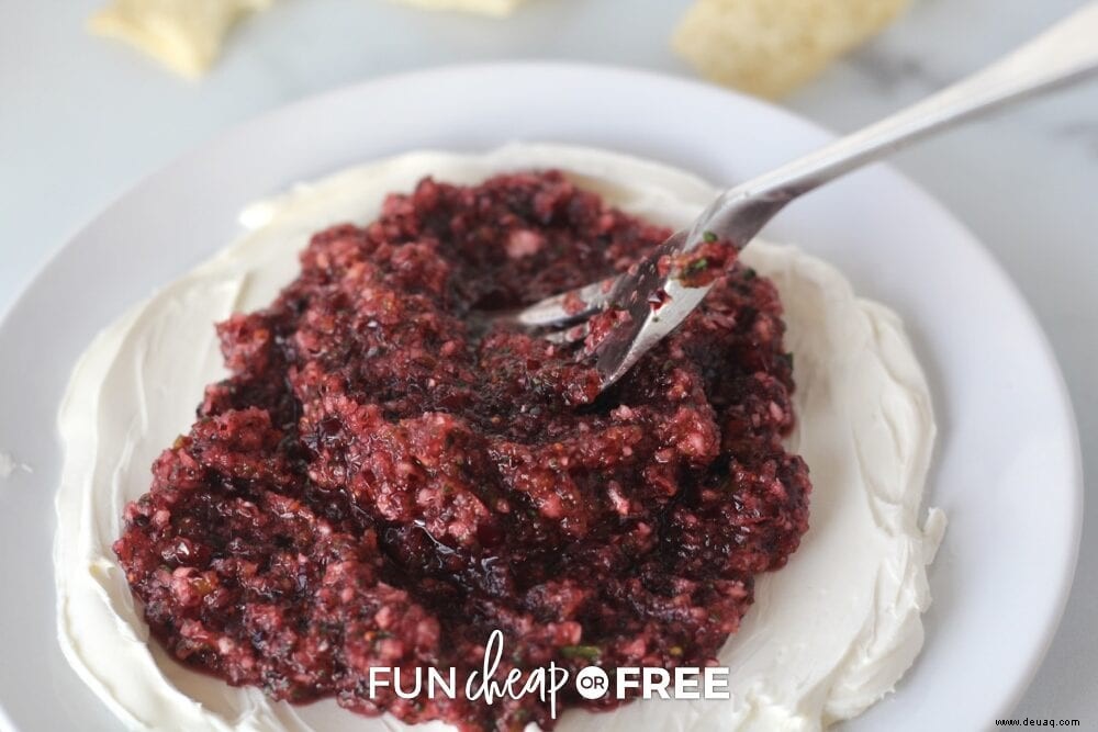 Cranberry-Frischkäse-Dip – Das BESTE Vorspeisenrezept! 