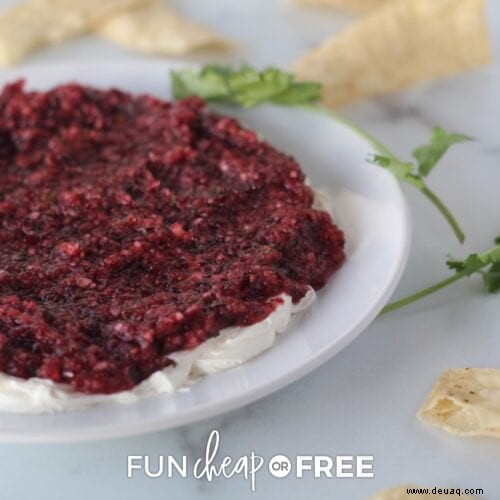 Cranberry-Frischkäse-Dip – Das BESTE Vorspeisenrezept! 