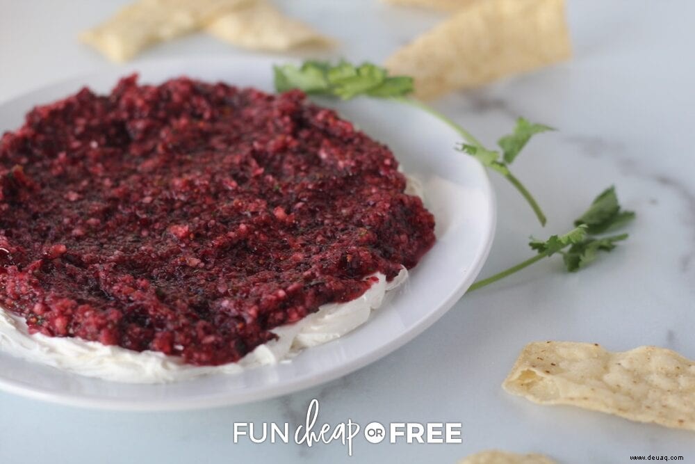 Cranberry-Frischkäse-Dip – Das BESTE Vorspeisenrezept! 