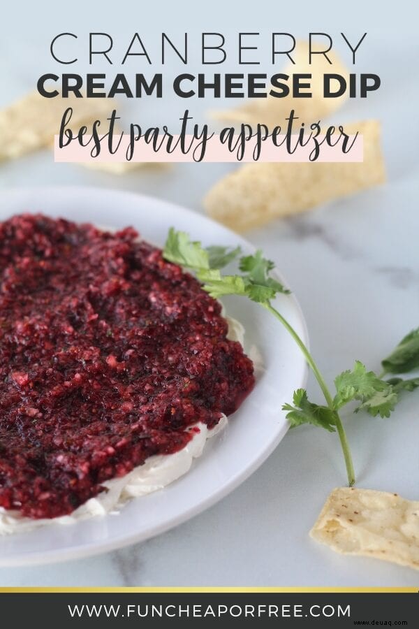 Cranberry-Frischkäse-Dip – Das BESTE Vorspeisenrezept! 