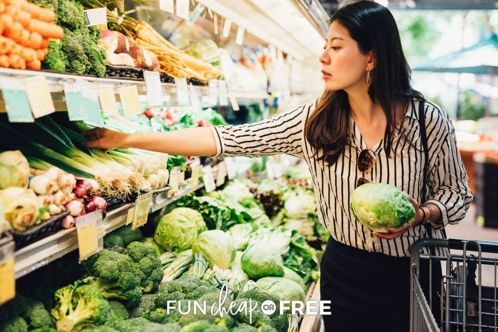 Gesundes Essen mit kleinem Budget:So ernähren Sie Ihre Familie mit Bio-Lebensmitteln 