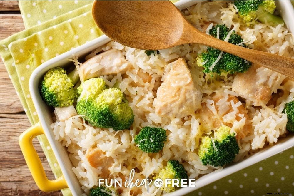 Easy Chicken Broccoli Rice Casserole – Das Gefriergericht der Champions! 