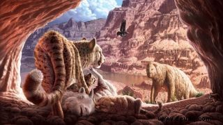 Vor 20.000 Jahren kämpften zwei amerikanische Geparden in einer Höhle im Grand Canyon bis zum Tod 
