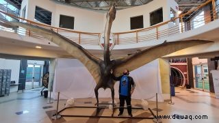 Riesiger Todesdrache mit 30 Fuß Flügelspannweite in Argentinien ausgegraben 