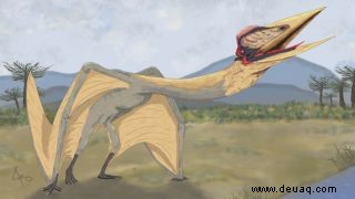 Riesiger Todesdrache mit 30 Fuß Flügelspannweite in Argentinien ausgegraben 