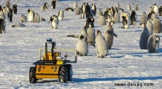 Lernen Sie den Roboter kennen, der Kaiserpinguine in der Antarktis im Auge behält 