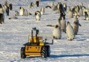 Lernen Sie den Roboter kennen, der Kaiserpinguine in der Antarktis im Auge behält 