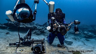 Massives unberührtes Riff aus riesigen rosenförmigen Korallen, das ungewöhnlich tief vor der Küste von Tahiti lauert 