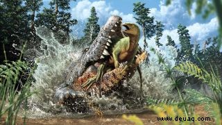Killer Cretaceous Croc verschlang als letzte Mahlzeit einen Dinosaurier 