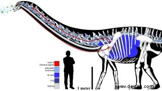 Achoo! Eine Atemwegserkrankung bescherte dem jungen Dolly die Dinosaurier-Grippe-ähnlichen Symptome 