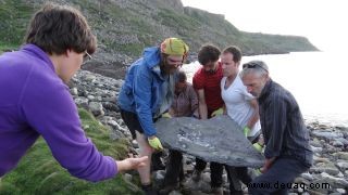 Größter Flugsaurier aus dem Jura, der in Schottland ausgegraben wurde 