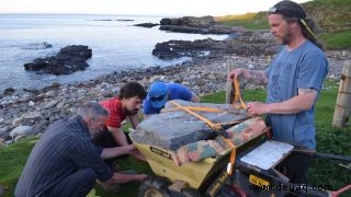 Größter Flugsaurier aus dem Jura, der in Schottland ausgegraben wurde 