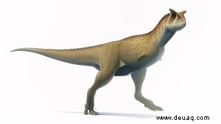 Schädel eines armlosen, fleischfressenden Dinosauriers entdeckt 