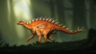 Der Stegosaurier mit kleinem Kopf und langen Schwanzstacheln ist einer der ältesten seiner Art 
