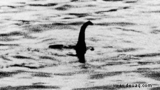 Nein, das Ungeheuer von Loch Ness war kein Walpenis 