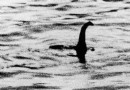 Nein, das Ungeheuer von Loch Ness war kein Walpenis 