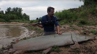 Kolossaler 300-Pfund-Alligator-Gar, der in Texas Bayou gefangen (und freigelassen) wurde 