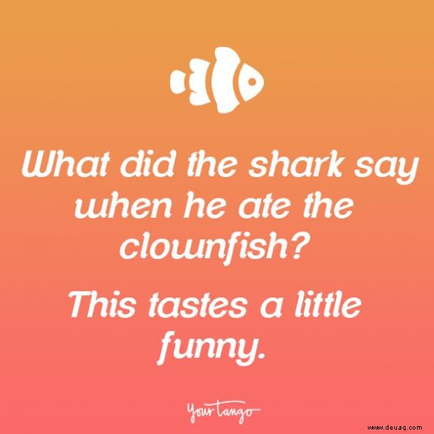 16 lustige Witze und Mittwochs-Memes, die Sie mit einem Lächeln durch den Hump Day bringen 