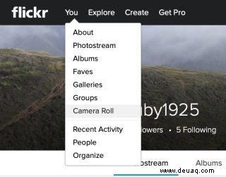 So laden Sie Ihre Fotos von Flickr herunter, bevor sie verschwinden 